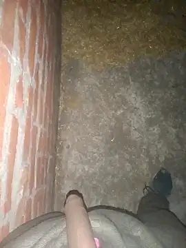 Snapshot of FinableKnee chatting on 12.01.25 FinableKnee online show from 12.01.25