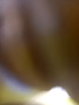 FinableKnee online show from 01.06.26