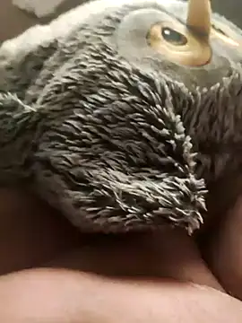 faphouse186582 online show from 01.24.25