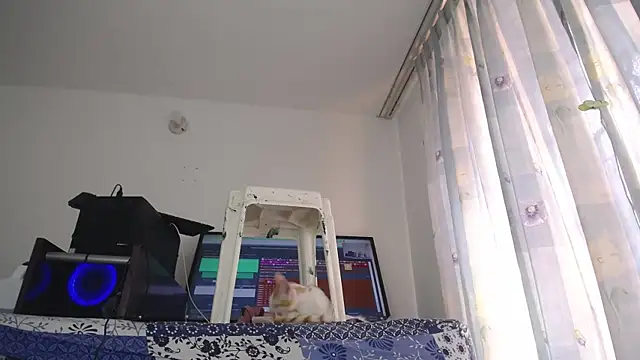 eolicasex online show from 02.01.25