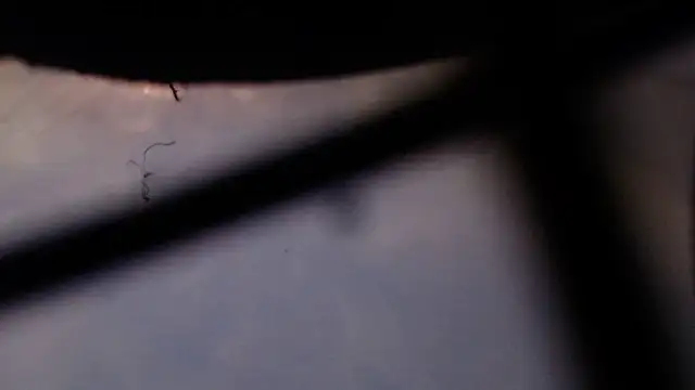 Cordt27 online show from 02.12.26