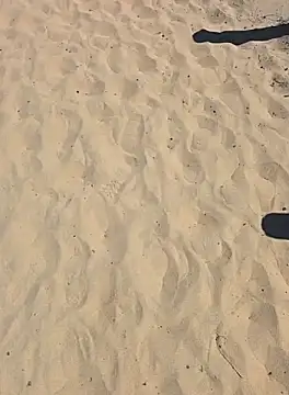 Trucker Hunter online show from 09.28.25