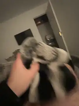 Snapshot of Furdale chatting on 01.17.25 Furdale online show from 01.17.25