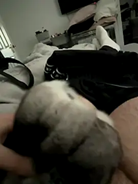 Furdale online show from 12.16.25