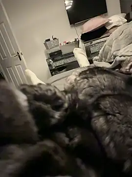 Furdale online show from 12.17.25