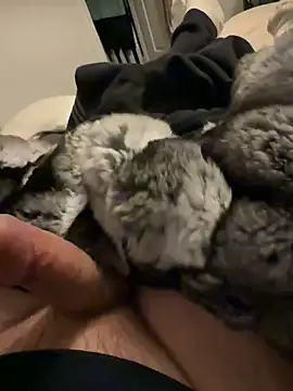 Furdale online show from 02.03.26