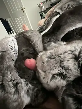 Furdale online show from 02.22.26