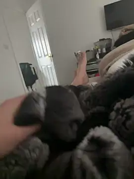 Furdale online show from 03.16.26