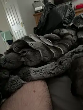 Furdale online show from 03.23.26