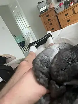 Furdale online show from 04.15.26