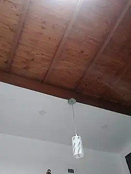 shelby kutter online show from 02.22.25