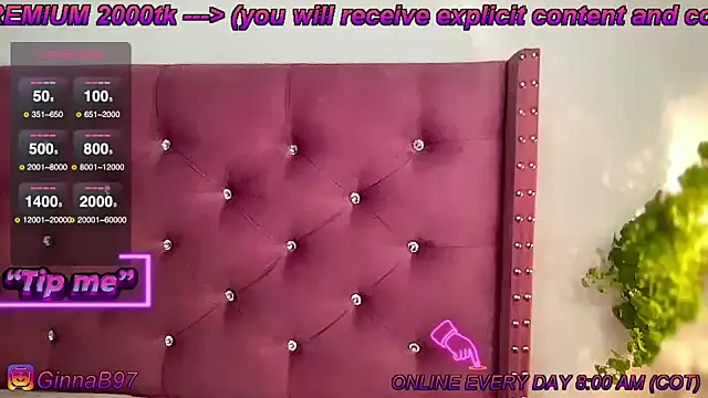 Snapshot of GinnaBolton chatting on 01.24.25 GinnaBolton online show from 01.24.25