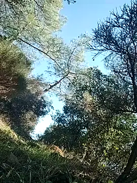 Poyraz6996 online show from 11.14.25