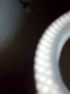 rodovlaz online show from 02.19.25