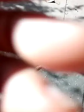 rodovlaz online show from 03.30.26