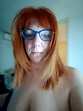 lollipop cat online show from 01.04.25