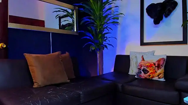 Markboyl online show from 02.12.25