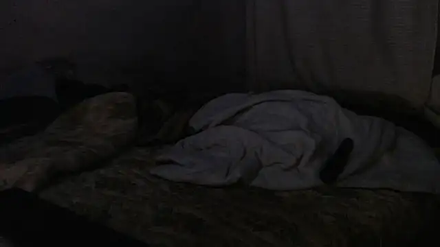 devine TATAS online show from 09.16.25