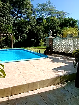 dutra498 online show from 02.09.26