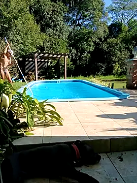 dutra498 online show from 03.02.26