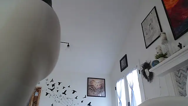 Snapshot of AuroraWillows chatting on 01.19.26 AuroraWillows online show from 01.19.26