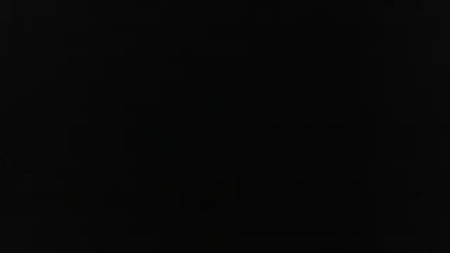 carleee winter online show from 02.25.25