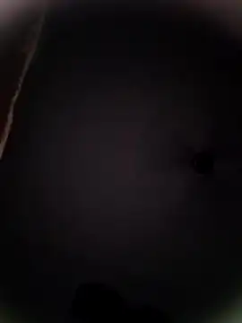 Snapshot of Pitercom chatting on 10.19.25 Pitercom online show from 10.19.25