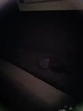 Snapshot of Pitercom chatting on 01.09.26 Pitercom online show from 01.09.26