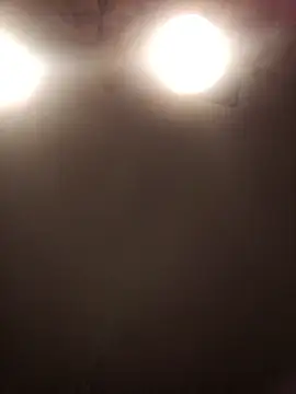 lilianashemale online show from 11.01.25