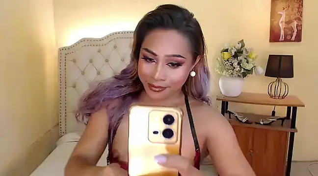 Snapshot of DreamLADYBOY chatting on 12.06.24 DreamLADYBOY online show from 12.06.24