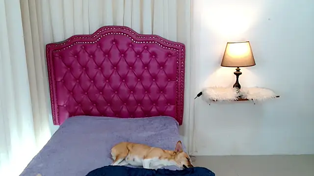 DreamLADYBOY online show from 02.24.26