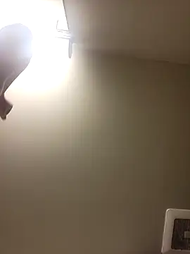 Snapshot of gdawg78 chatting on 02.18.26 gdawg78 online show from 02.18.26