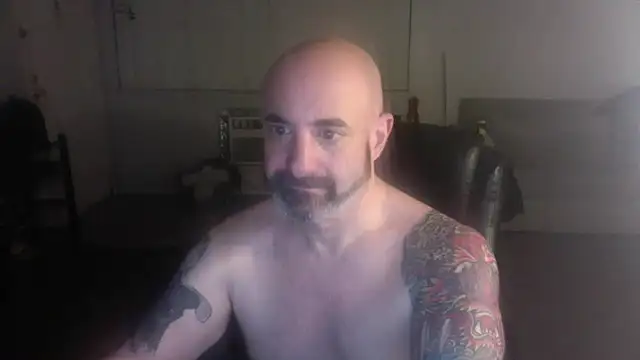 palidin1 online show from 02.06.26