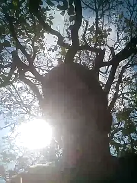 Mohni Das online show from 03.25.26