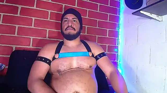 the master foal  online show from 01.08.25