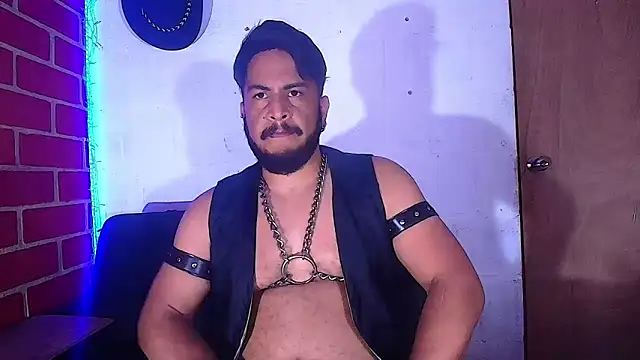 the master foal  online show from 02.08.25