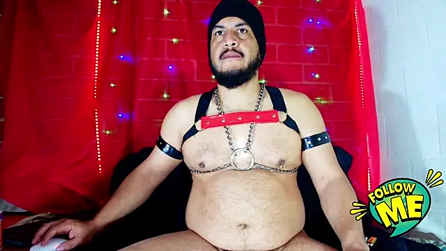 the master foal  online show from 09.18.25