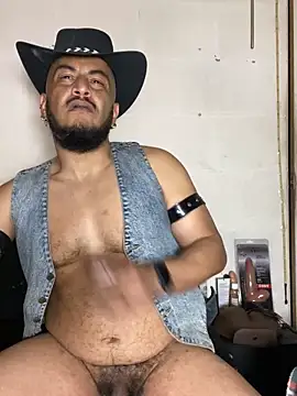 the master foal  online show from 02.02.26