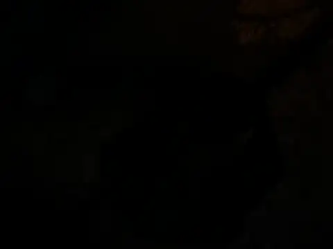 jck1m0t online show from 12.19.24