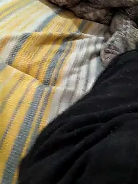 Yaramaz331 online show from 03.09.25