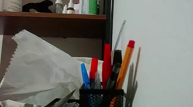 Snapshot of Sangelll chatting on 01.11.25 Sangelll online show from 01.11.25