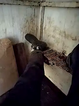 VASKOS178 online show from 12.29.24