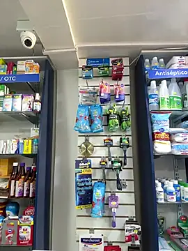 Snapshot of roouse chatting on 01.29.25 roouse online show from 01.29.25