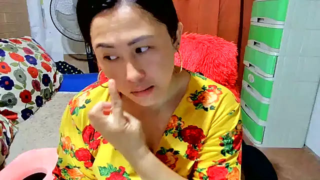 M e c e l online show from 09.19.25