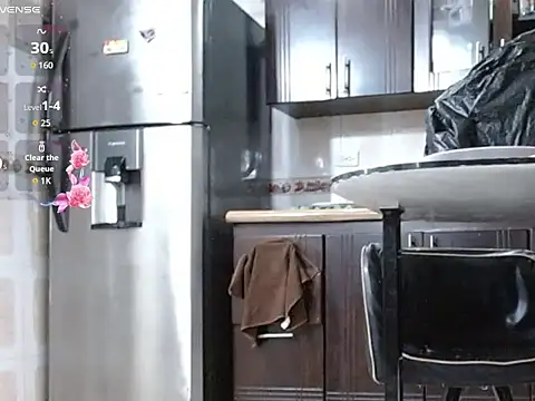 Snapshot of Diosasky chatting on 02.19.26 Diosasky online show from 02.19.26