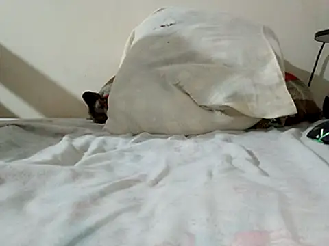 Snapshot of JamesQuaresma chatting on 02.11.26 JamesQuaresma online show from 02.11.26