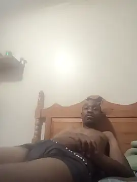 Dibobo4 online show from 02.12.26