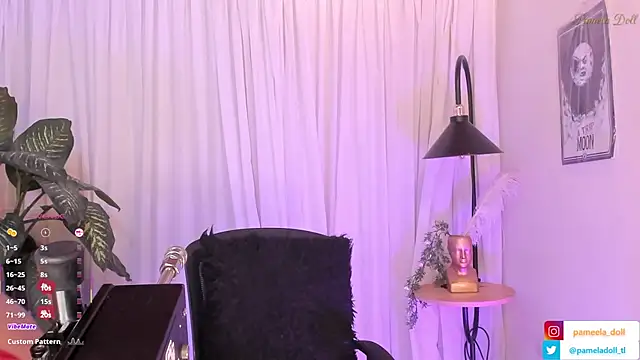 Snapshot of pamela_doll3 chatting on 02.14.25 pamela doll3 online show from 02.14.25