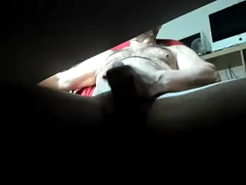 leccaleccafiga online show from 03.01.25