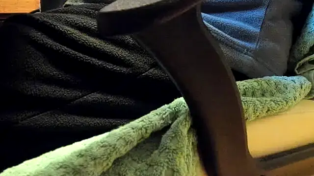 leccaleccafiga online show from 02.04.26